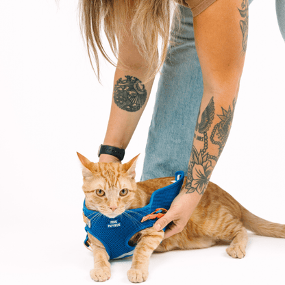 Atlas cat harness and leash set — additional photo 12