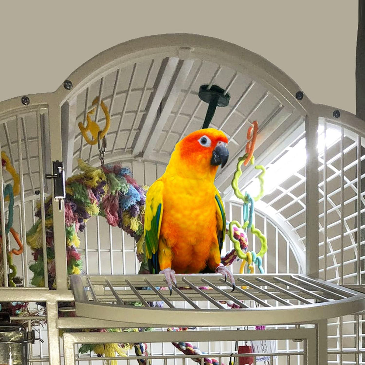 Bird Cage Light with Chew Guard