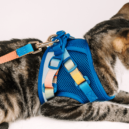 Atlas cat harness and leash set — additional photo 15