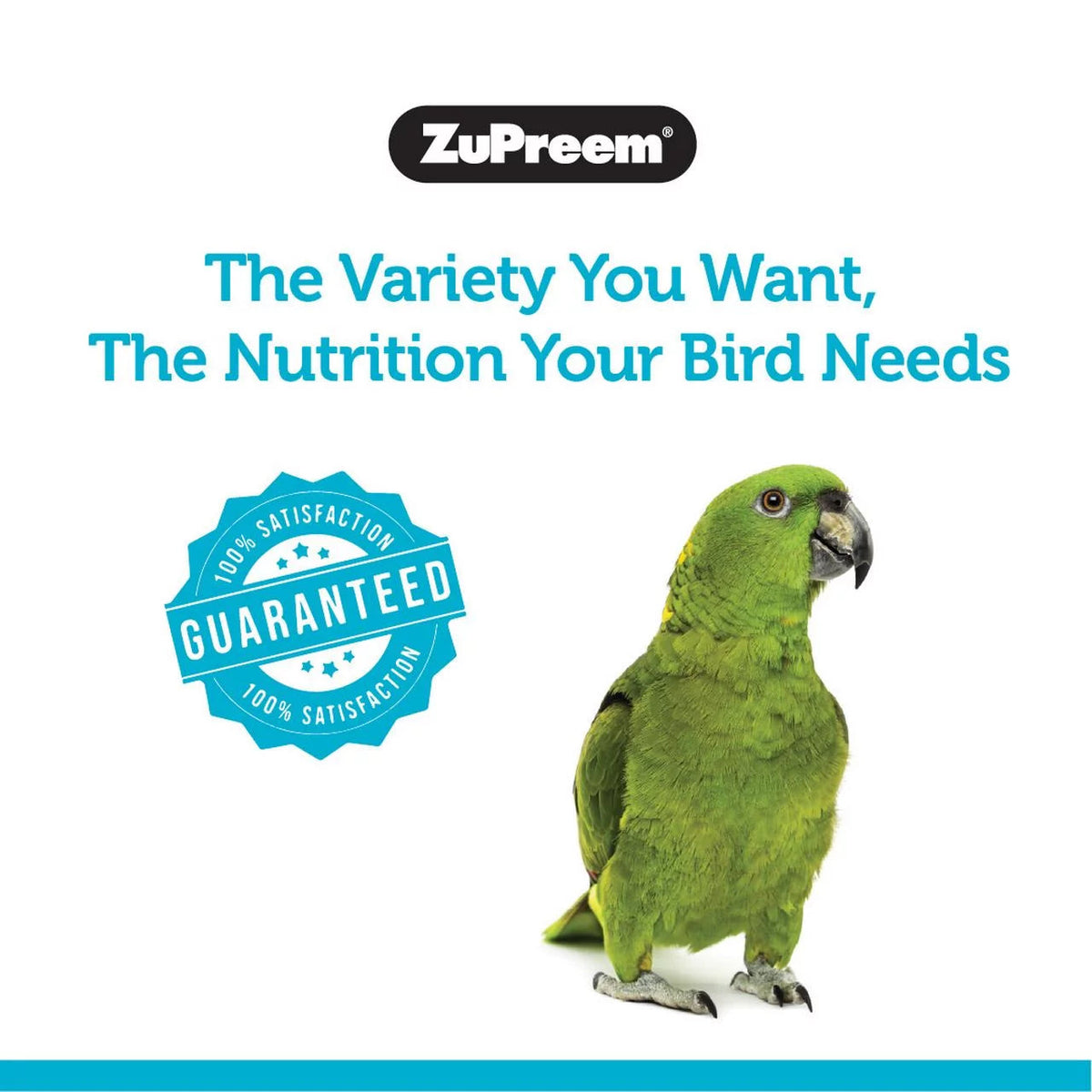 Sensible Seed Bird Food for Large Birds, 2 lb