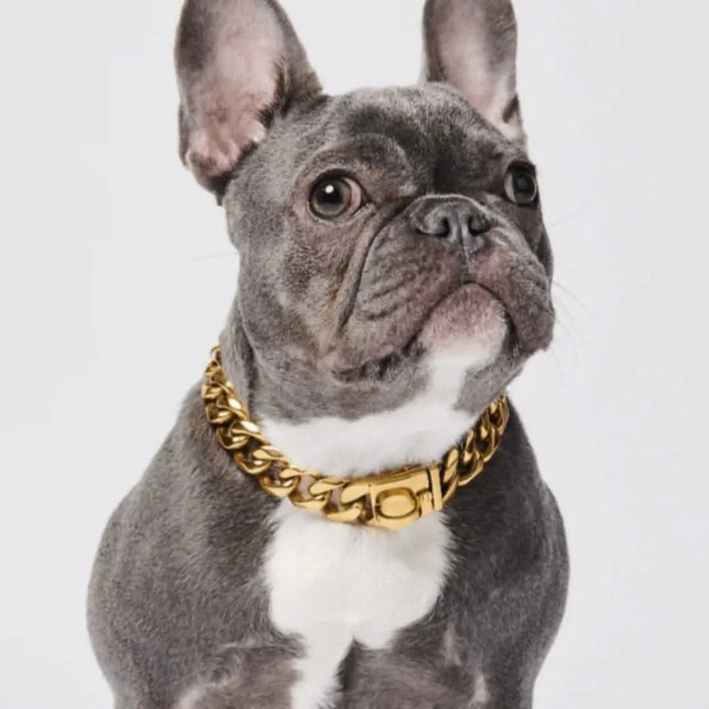 Gold Cuban link stainless steel chain dog collar - view 2