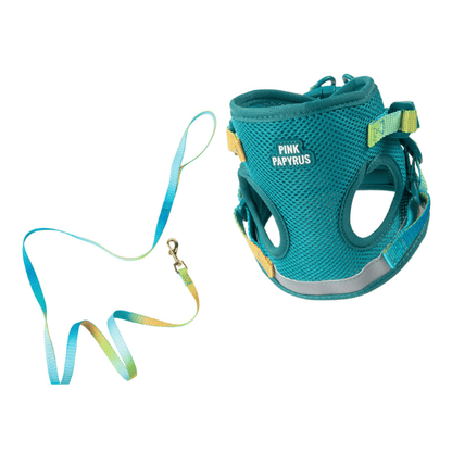 Joey – Cat Harness & Leash Set with AirTag Pocket