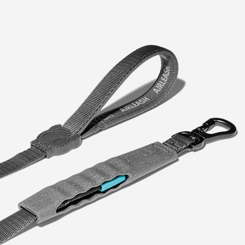 Carbon Airleash 5 ft elastic no-pull dog leash