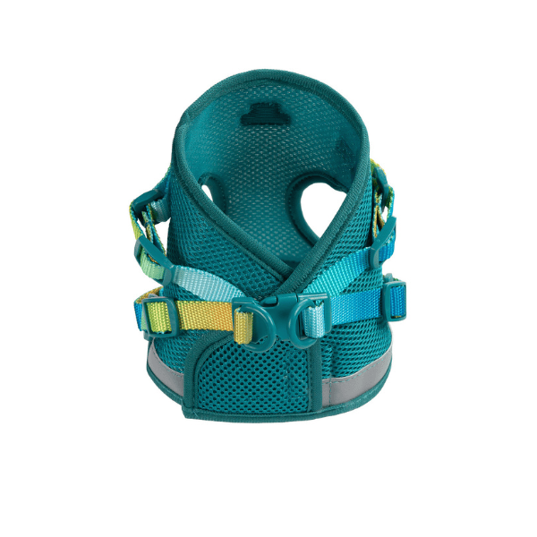 Joey cat harness and leash set — additional photo 3