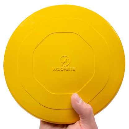 Launch Disc Heavy-Duty Rubber Dog Frisbee