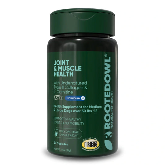 UC-II & L-Carnitine Capsules for Medium and Large Dogs