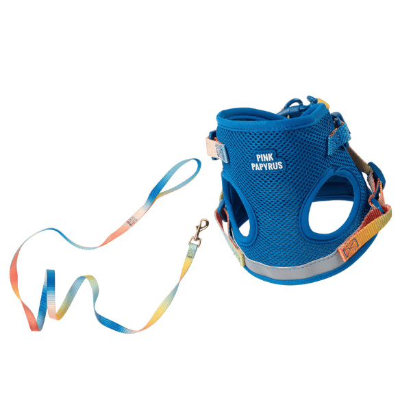 Atlas – Cat Harness & Leash Set with AirTag Pocket