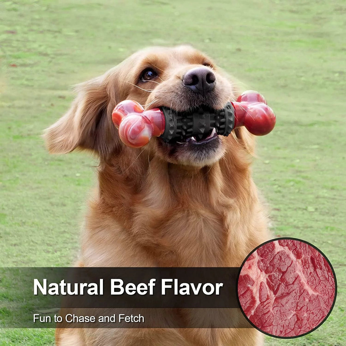 Indestructible Bone Chew Toy for Aggressive Chewers