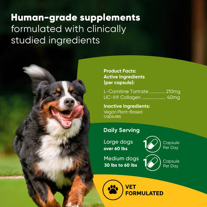 UC-II & L-Carnitine Capsules for Medium and Large Dogs