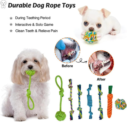 20-Piece Puppy Teething Chew Toy Set with Basket