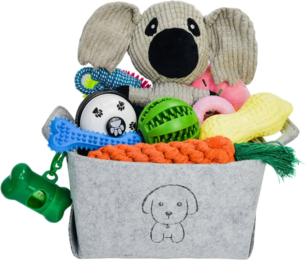 20-Piece Puppy Teething Chew Toy Set with Basket