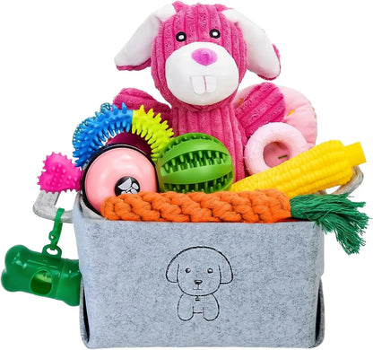 20-Piece Puppy Teething Chew Toy Set with Basket