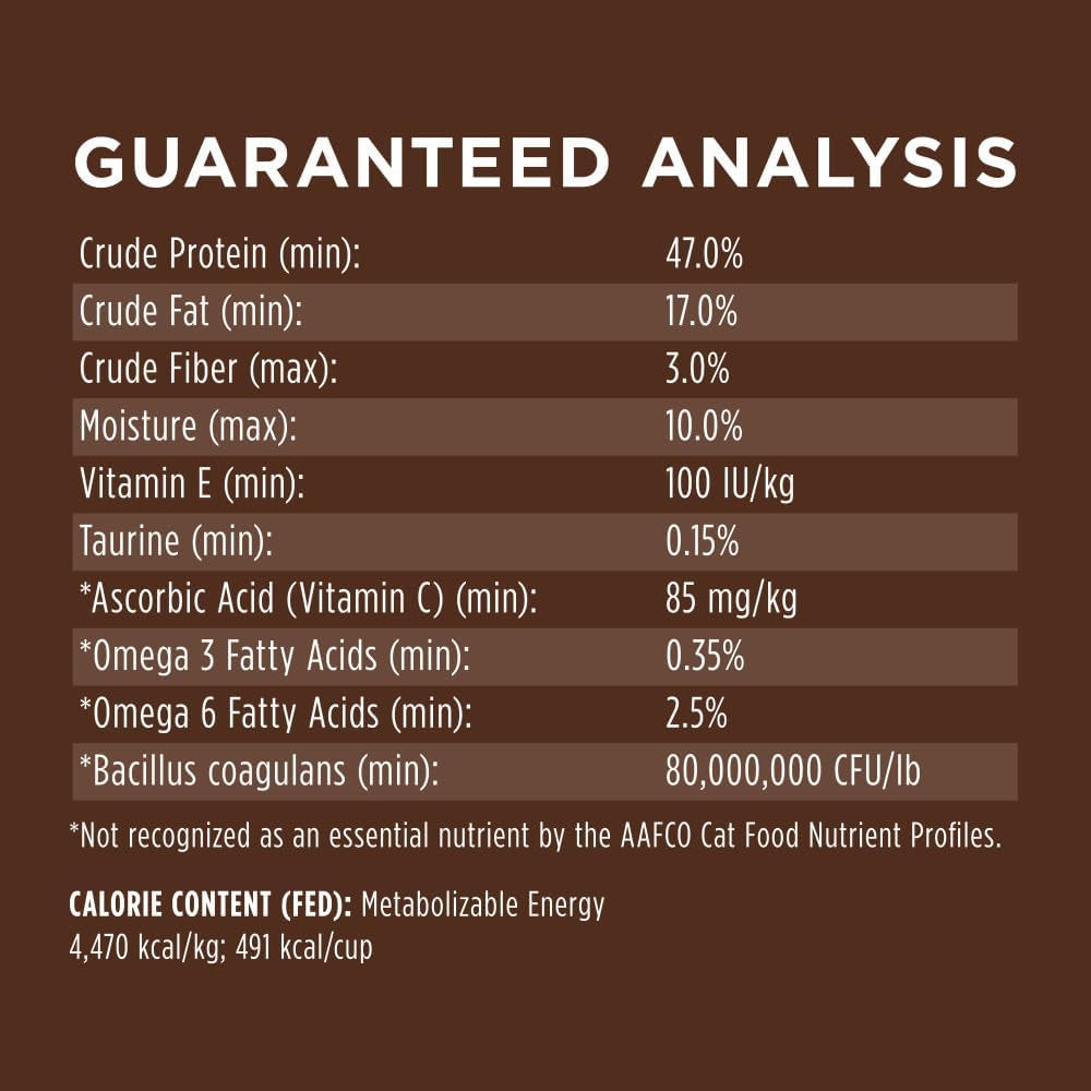 Grain-Free High Protein Dry Cat Food, 10 lb