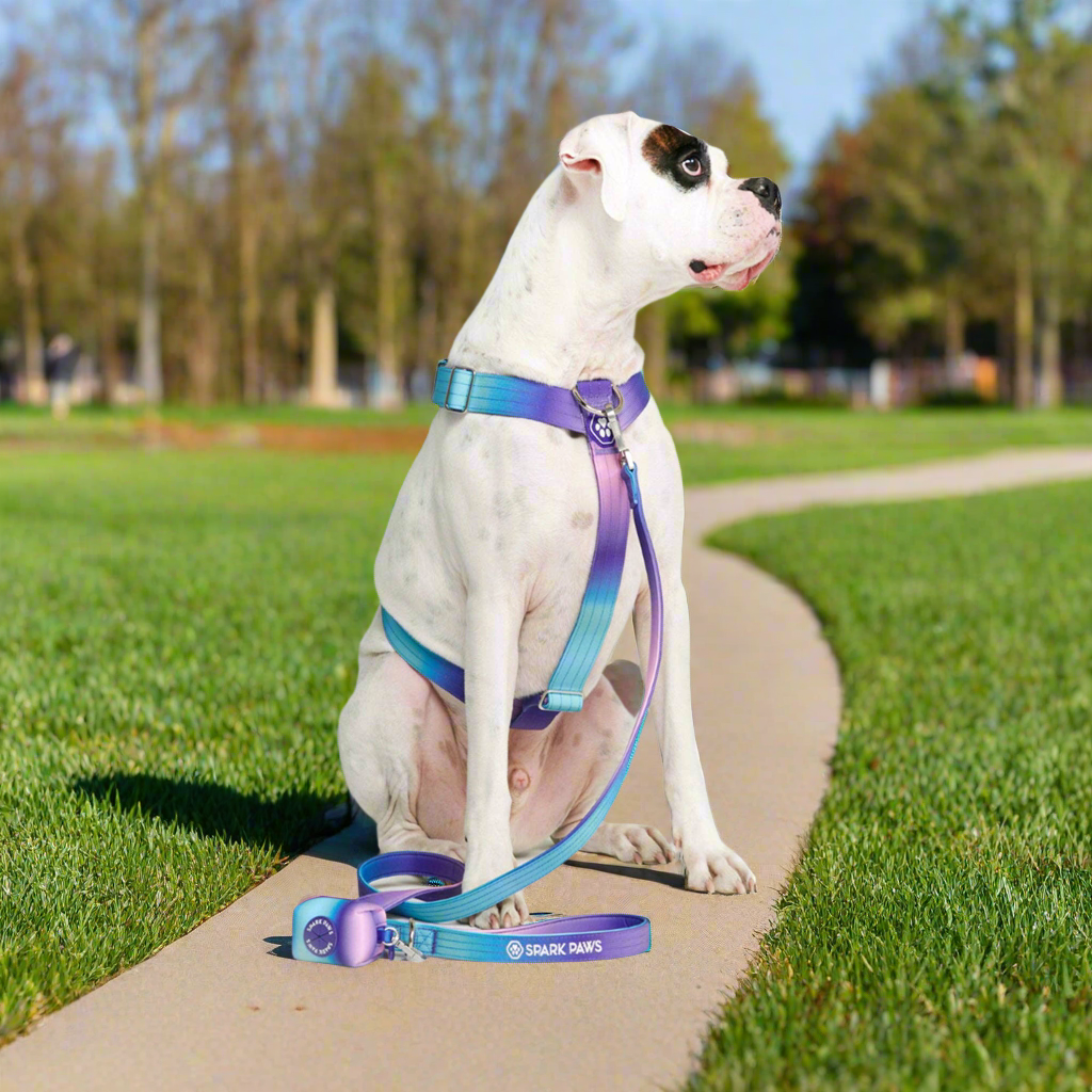 Comfort Control 90s retro no-pull dog harness - view 4
