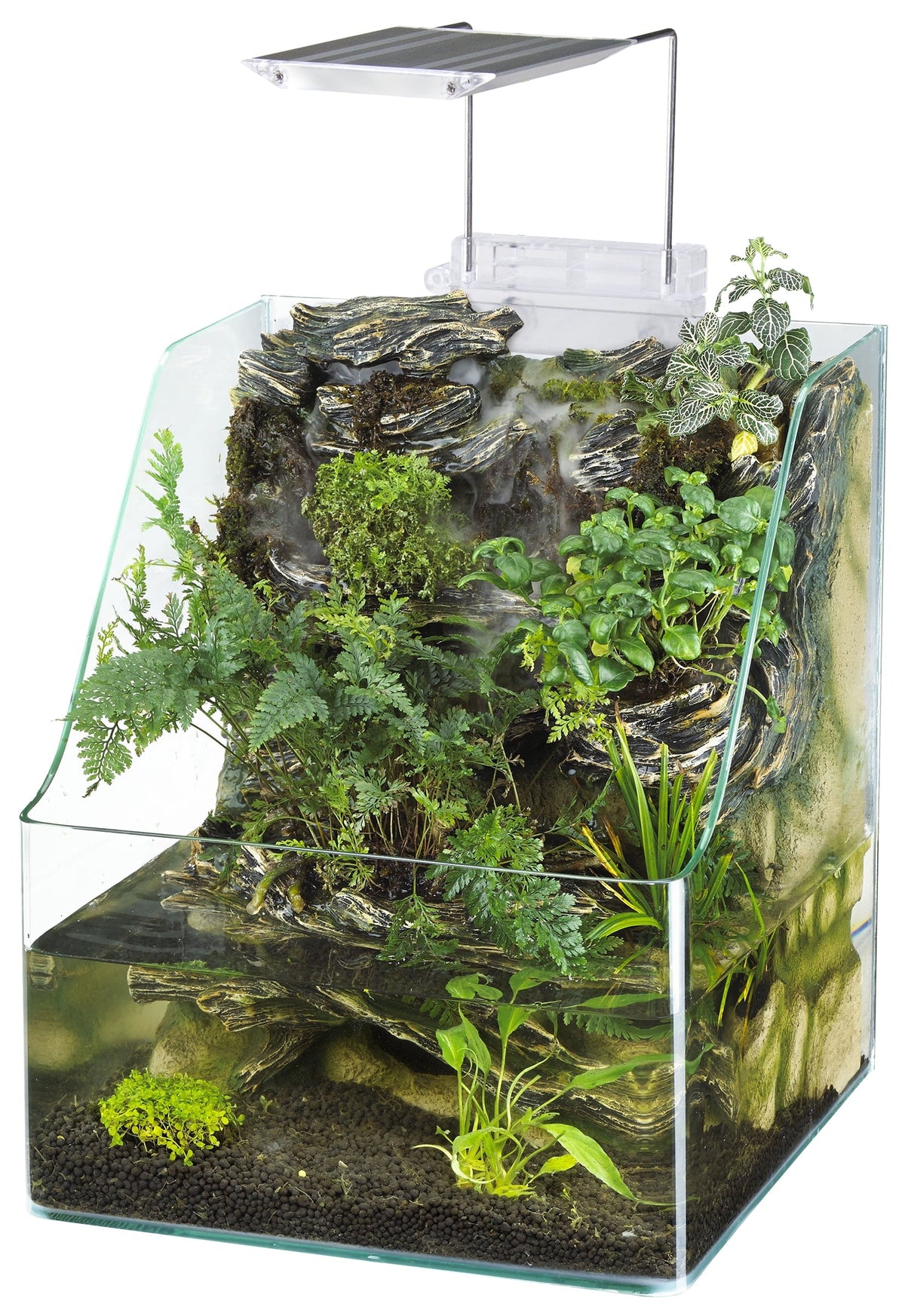 1.85 Gallon Glass Aqua Terrarium Planting Tank