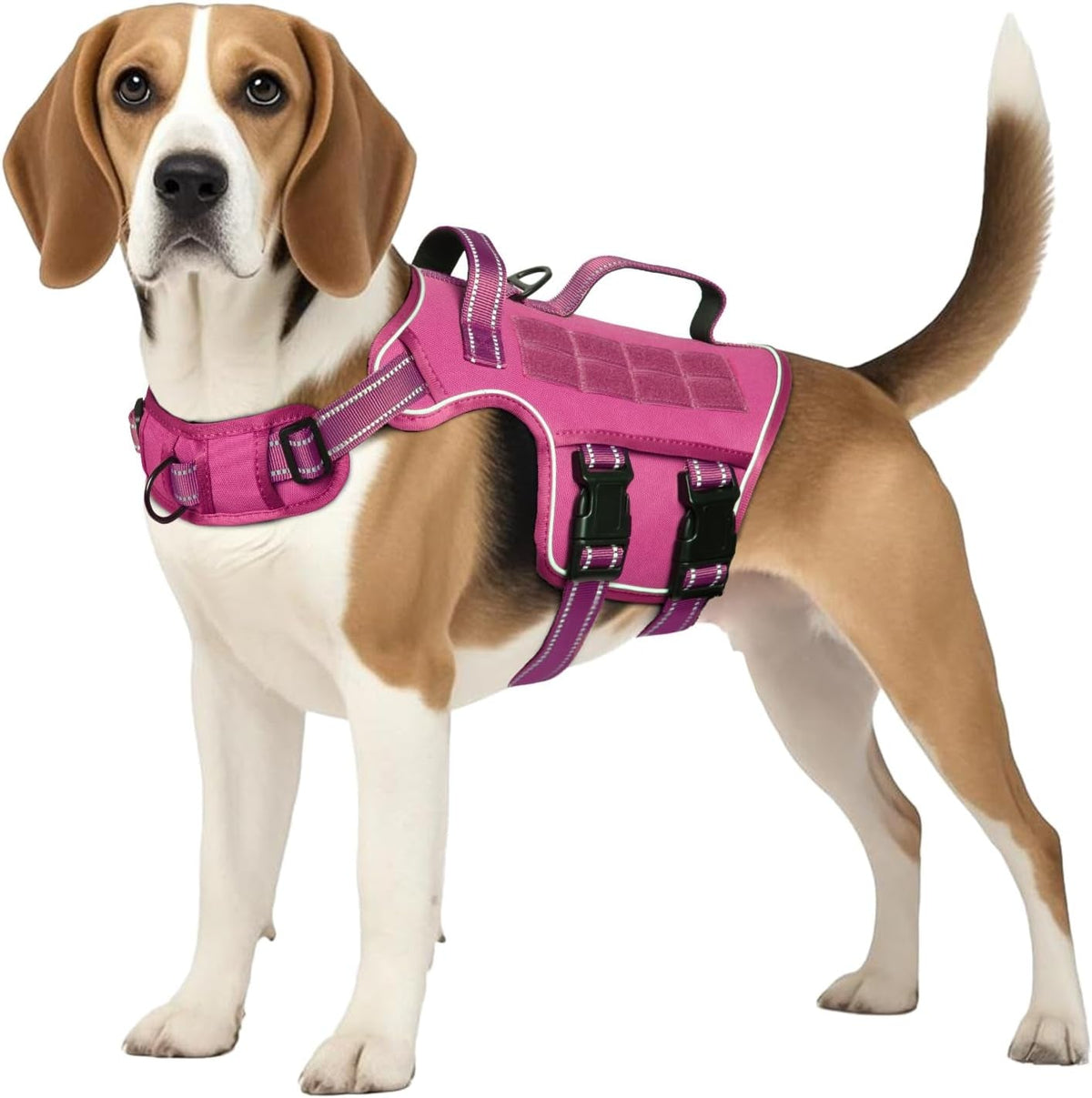 Heavy-Duty MOLLE Tactical Dog Harness, Medium to XL