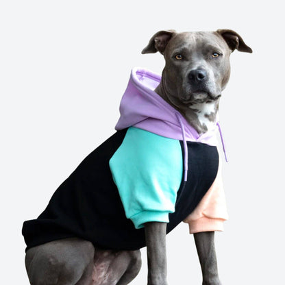 Cyber Punk graphic dog hoodie with fleece interior