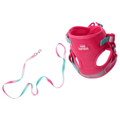 Stasia – Cat Harness & Leash Set with AirTag Pocket