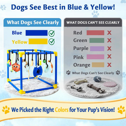 Interactive Puppy Play Gym with 16 Toys