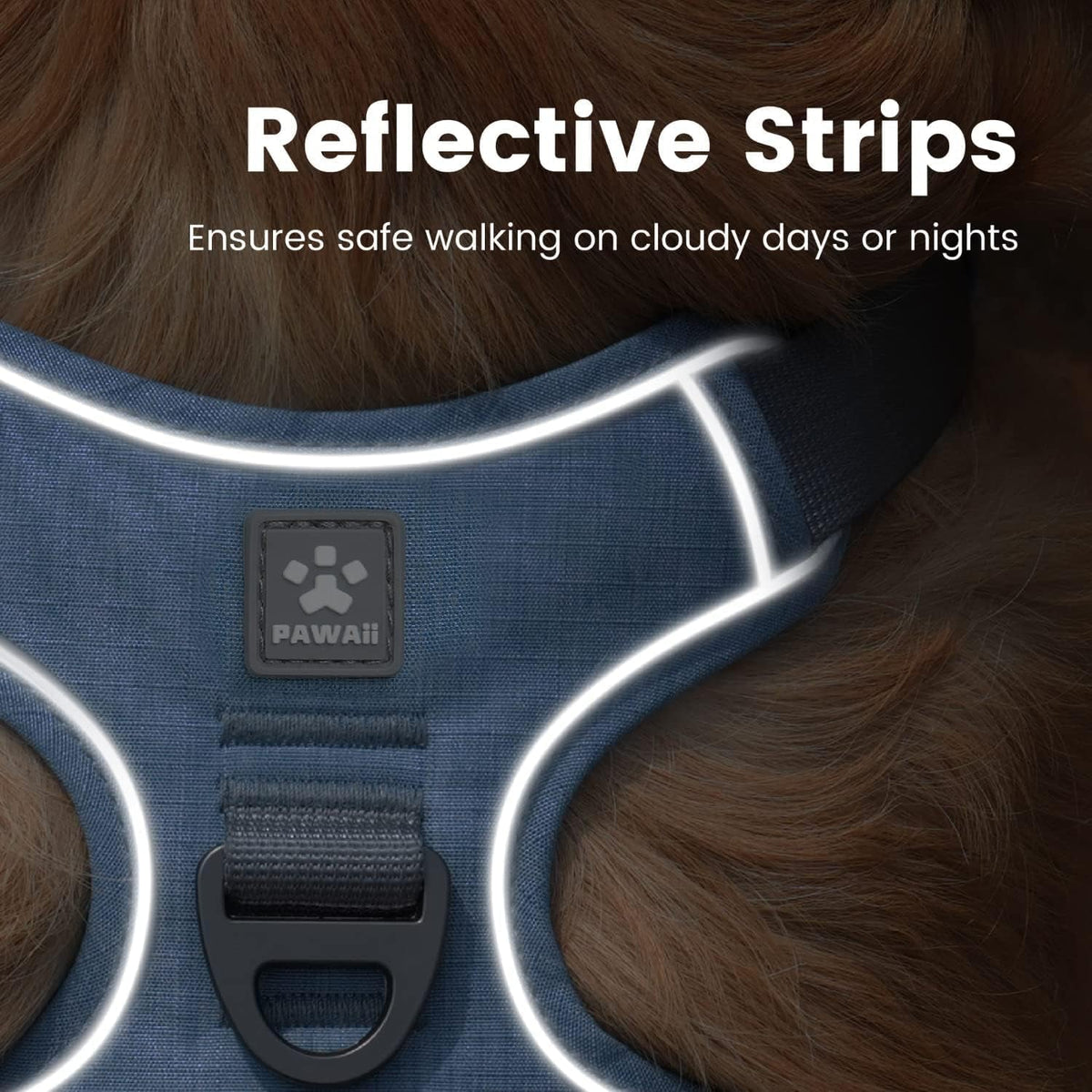 No-Pull Dog Harness with ID Tag for Small Dogs