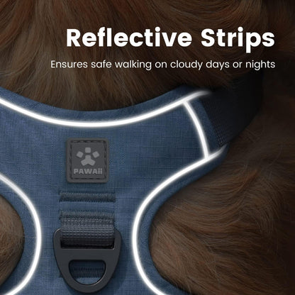 No-Pull Dog Harness with ID Tag for Small Dogs