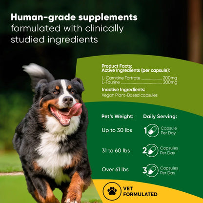 L-Carnitine & L-Taurine Supplement for Dogs