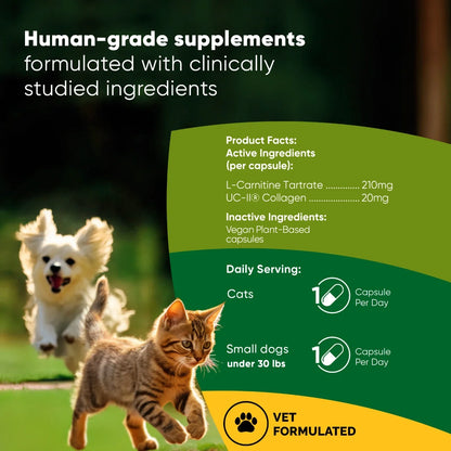 UC-II & L-Carnitine Capsules for Cats and Small Dogs