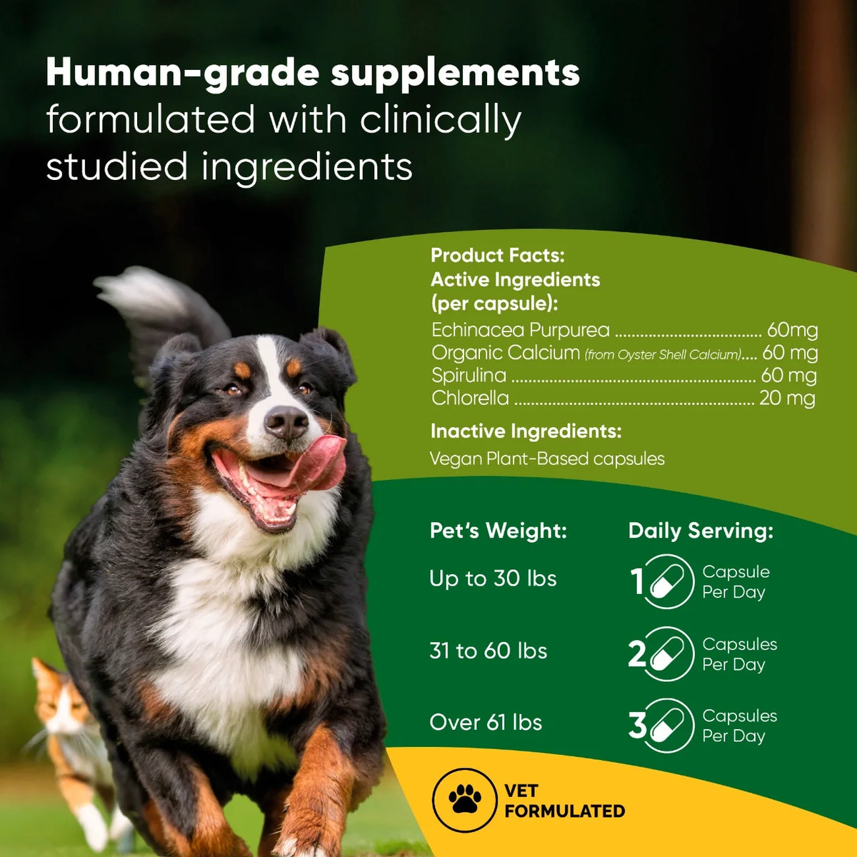 Spirulina & Chlorella Supplement for Dogs and Cats