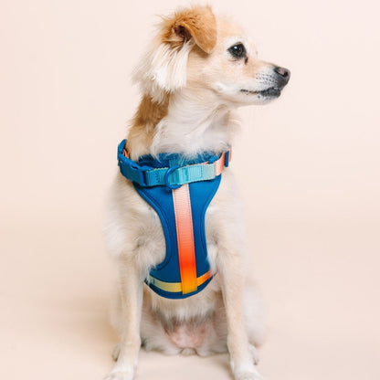 Atlas dog harness — additional photo 5