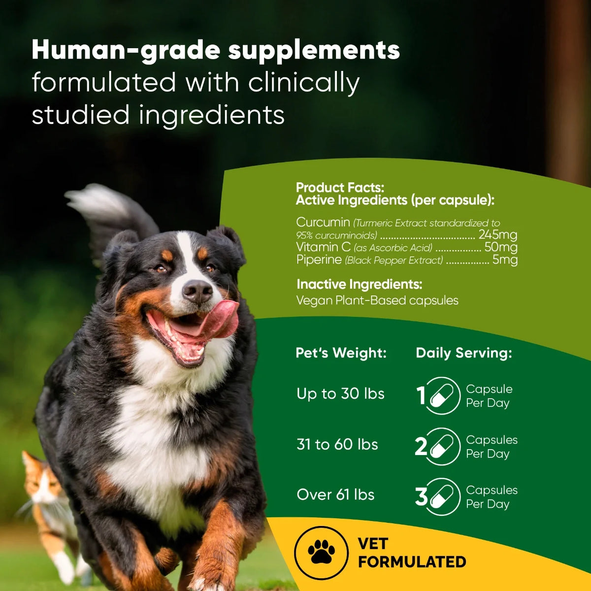 Turmeric, Black Pepper & Vitamin C Supplement