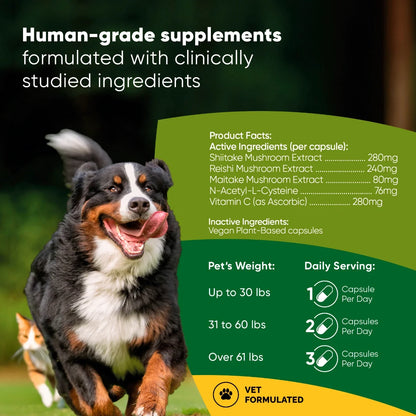 Reishi, Shiitake & Maitake Mushroom Supplement