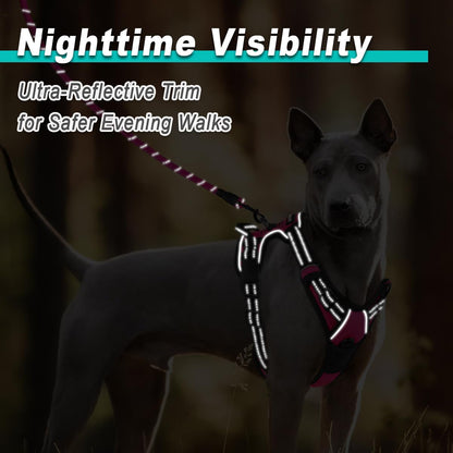 Reflective Oxford No-Pull Dog Harness, Small to XL