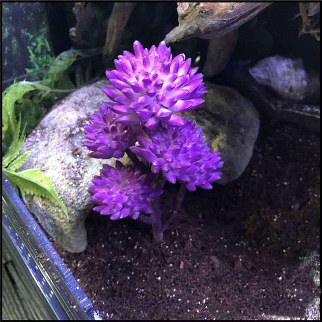 Artificial Reptile Terrarium Plants
