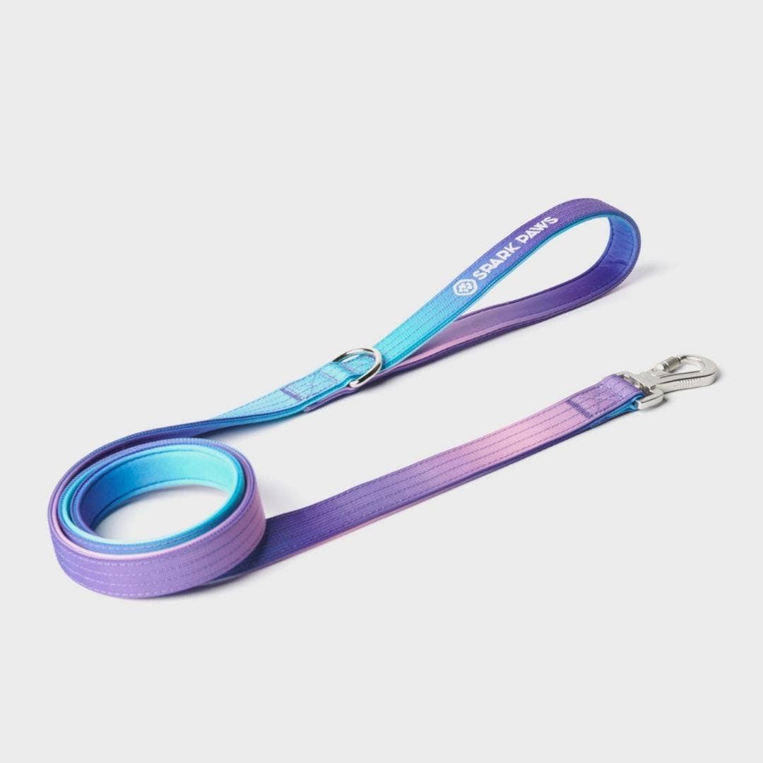 Comfort Control 90s retro print nylon dog leash