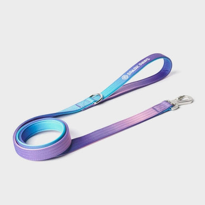 Comfort Control 90s retro print nylon dog leash