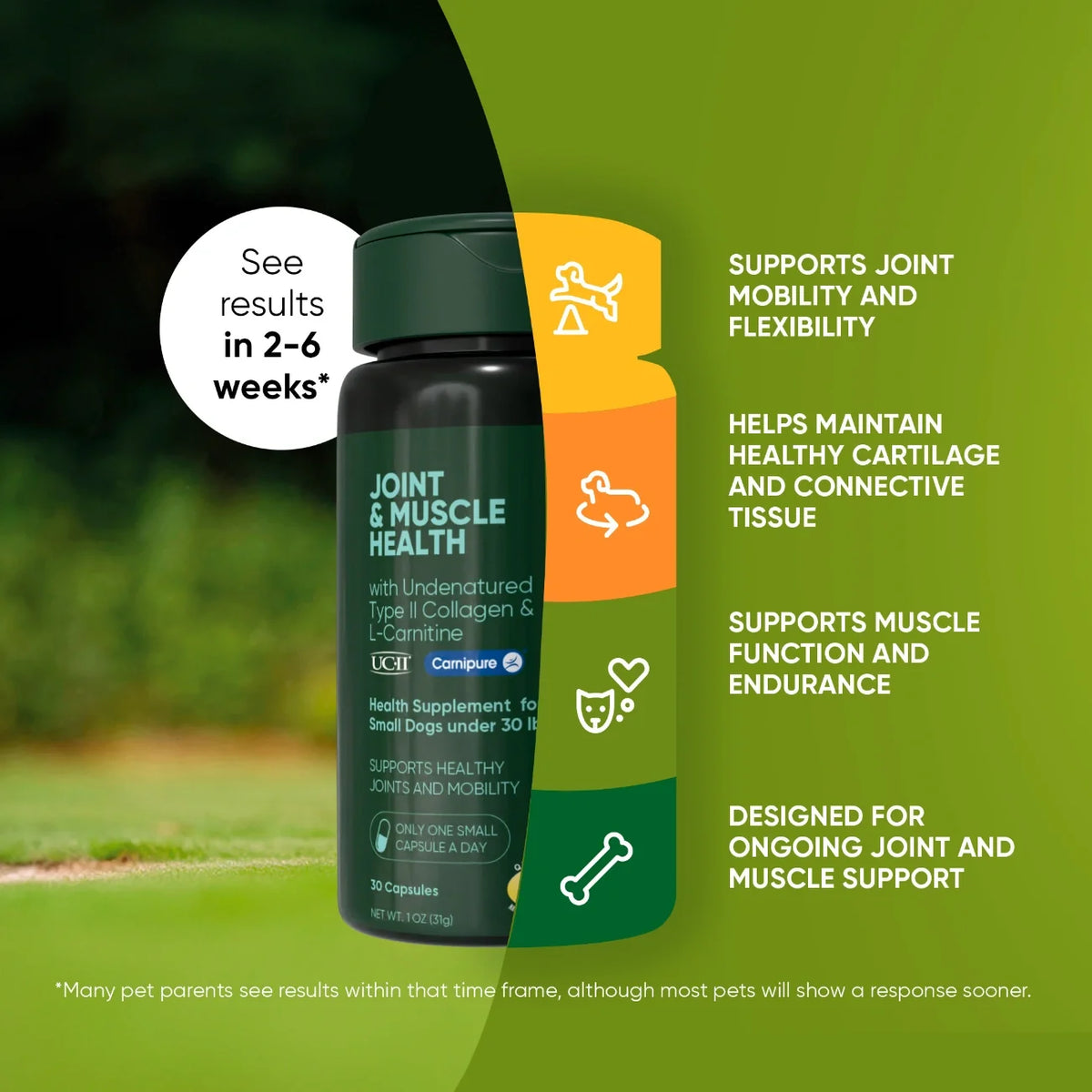 UC-II & L-Carnitine Capsules for Cats and Small Dogs