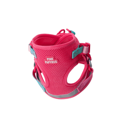 Stasia cat harness and leash set — additional photo 2
