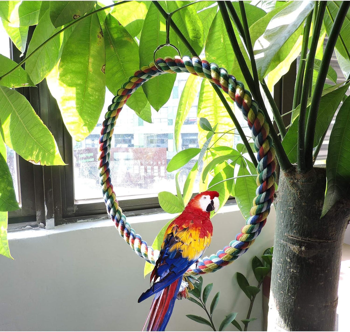 Cotton Rope Bird Swing for Budgies and Small Parrots
