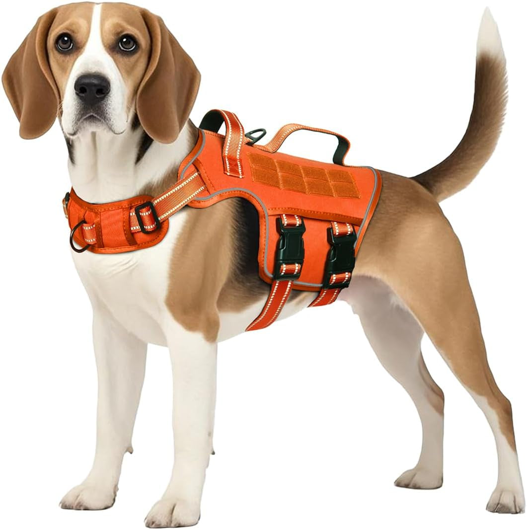 Heavy-Duty MOLLE Tactical Dog Harness, Medium to XL