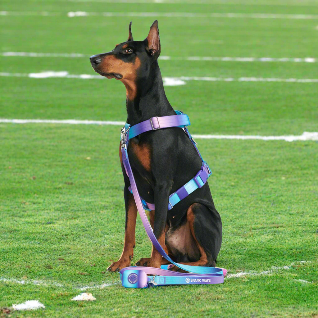Comfort Control 90s retro no-pull dog harness - view 5