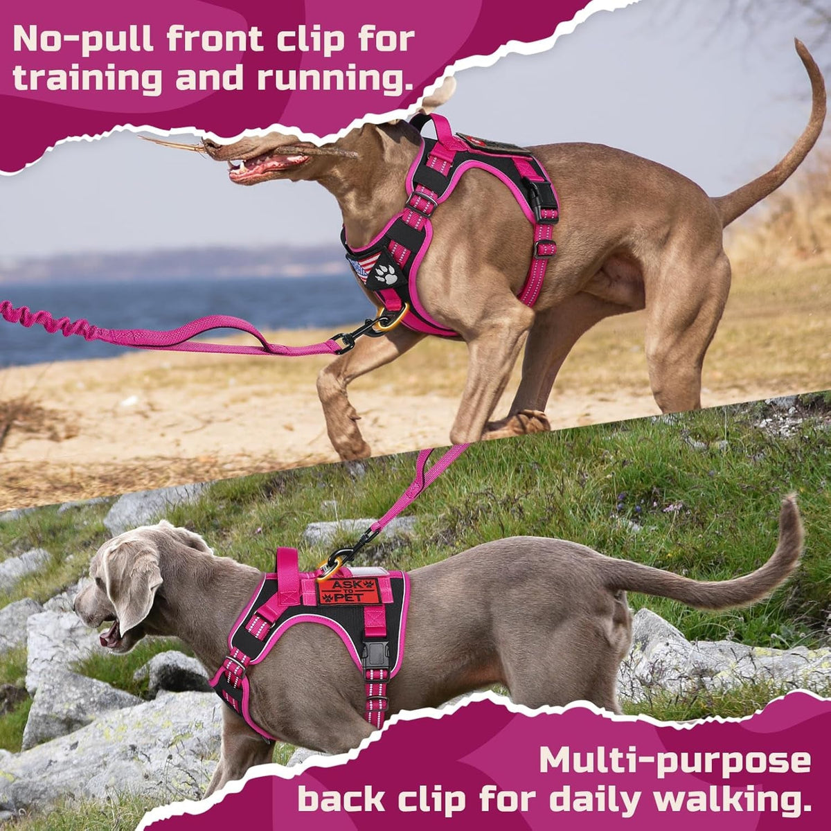 MOLLE Tactical No-Pull Dog Harness, Medium to Large