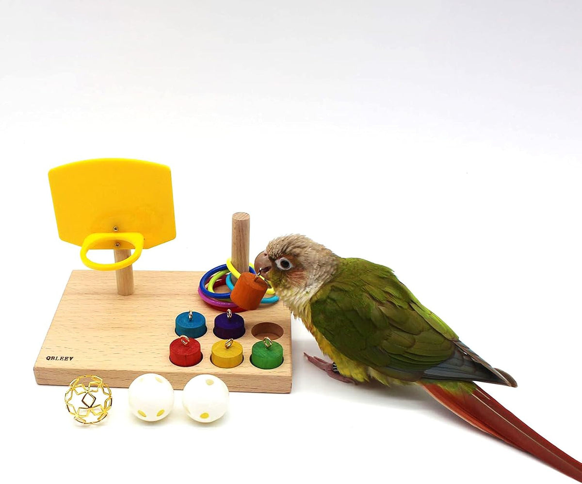 Beech Wood Foraging Puzzle Toy for Budgies and Parrots