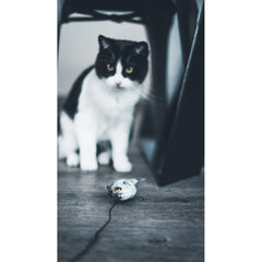 V2HC32EC1688ABB41F6E11AE34105D49342R7436901P10