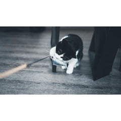 V2H039166CB86BB7FF5E6ACE5C522133F4AR7436892P4