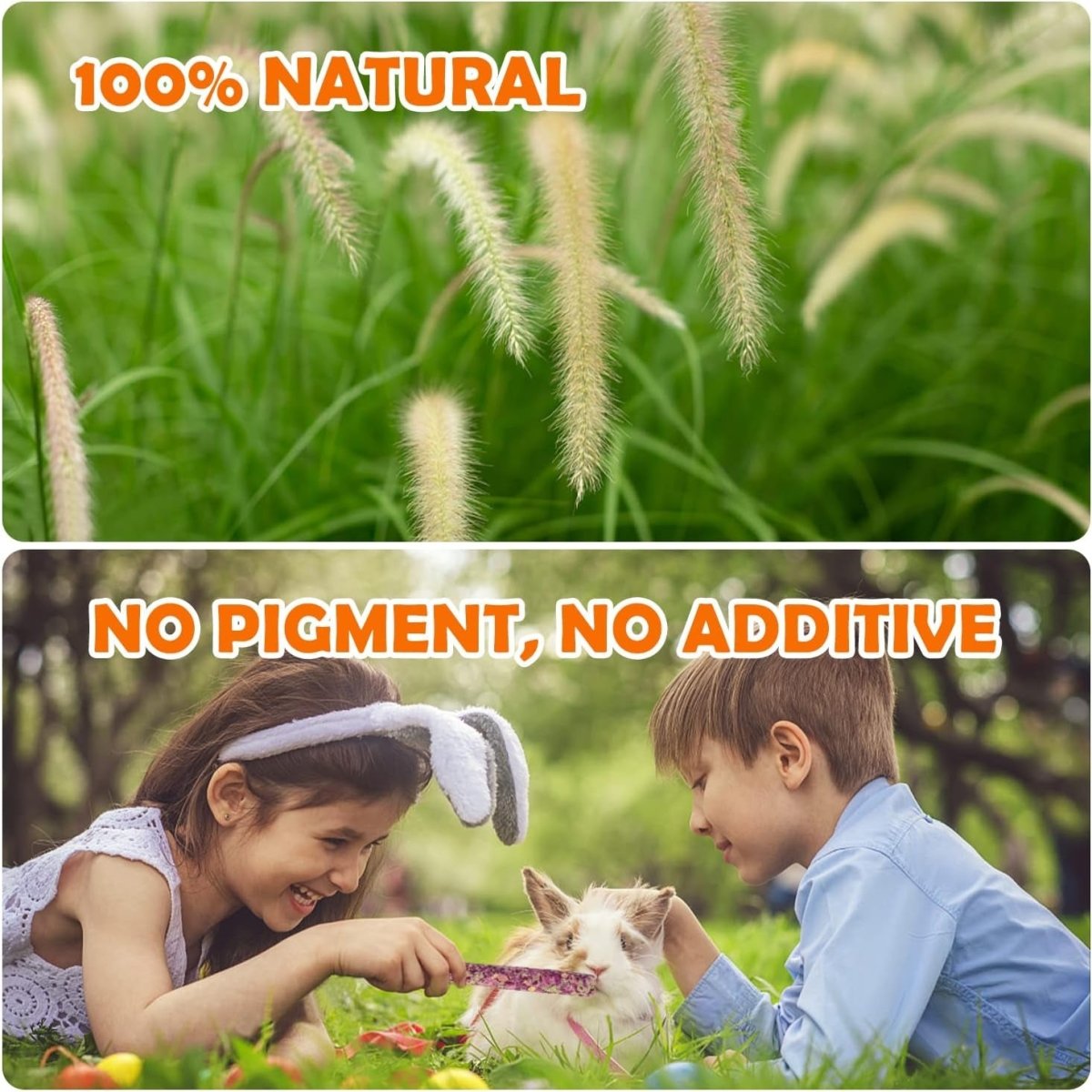 Timothy Hay Sticks for Small Pets, 32 Pack, 320 g