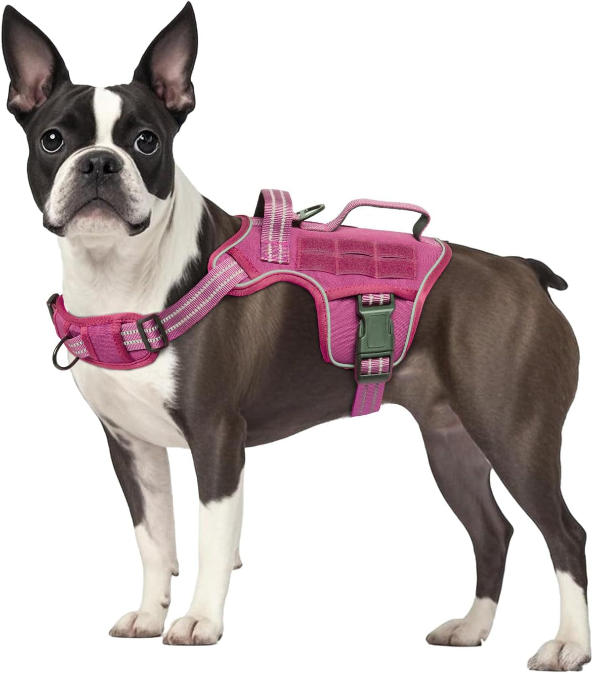 Heavy-Duty MOLLE Tactical Dog Harness, Medium to XL