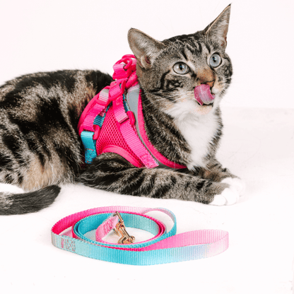 Stasia cat harness and leash set — additional photo 6