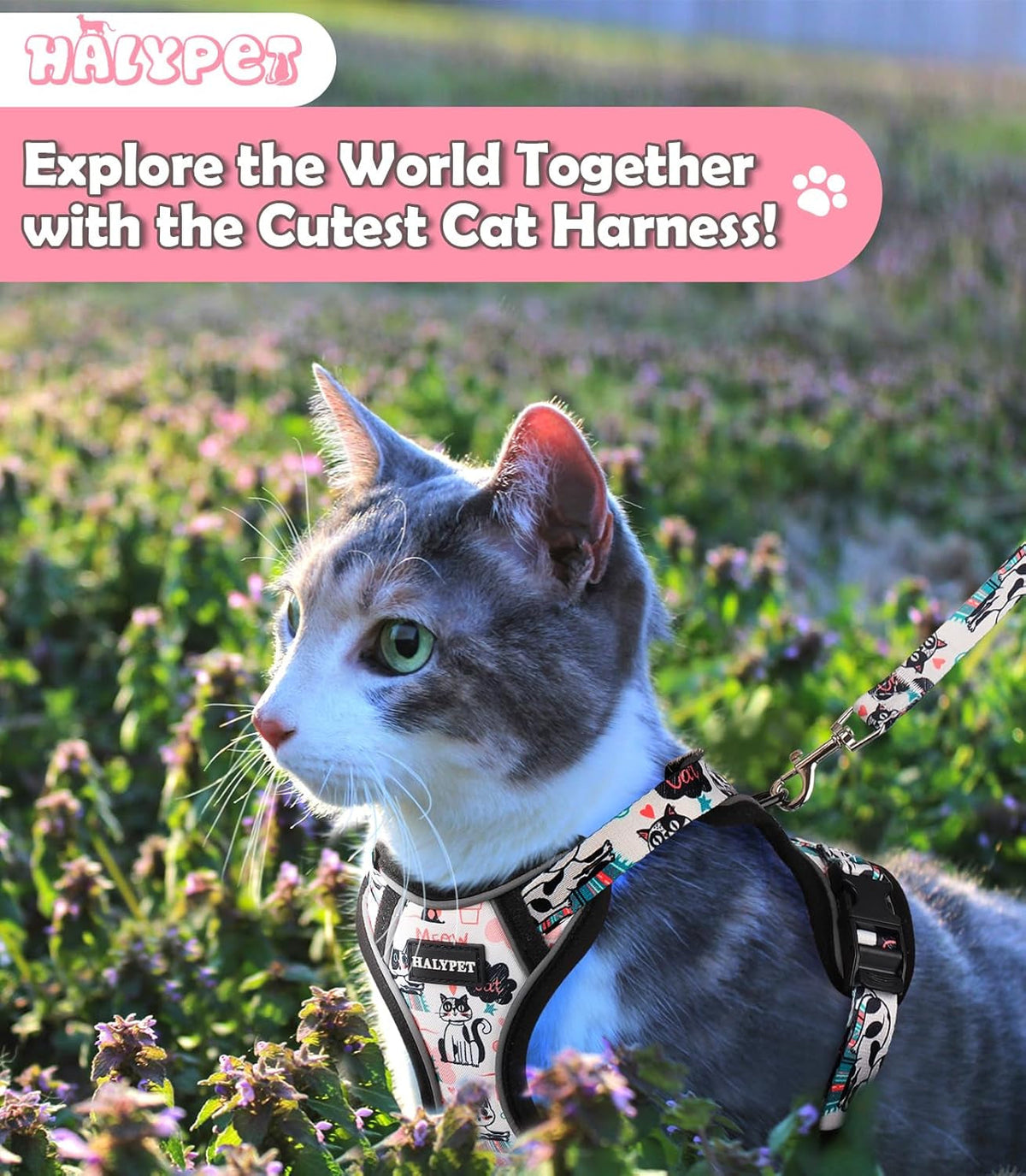 Adjustable Cat Harness and Leash Set with Reflective Trim