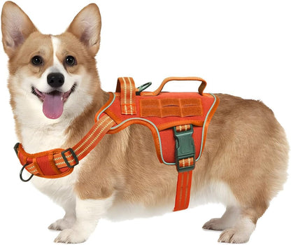 Heavy-Duty MOLLE Tactical Dog Harness, Medium to XL