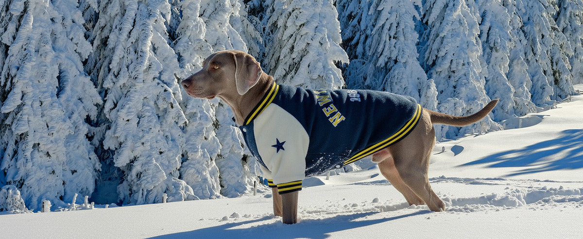 Warm Dog Varsity Jacket Heavyweight Fleece Pet Coat Small-4XL